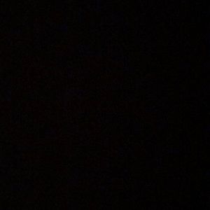 Meet your Posher, Brendan